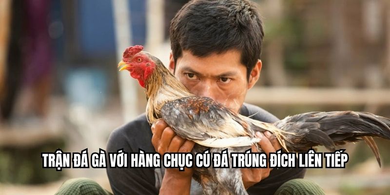 Trận đá gà với hàng chục cú đá trúng đích liên tiếp